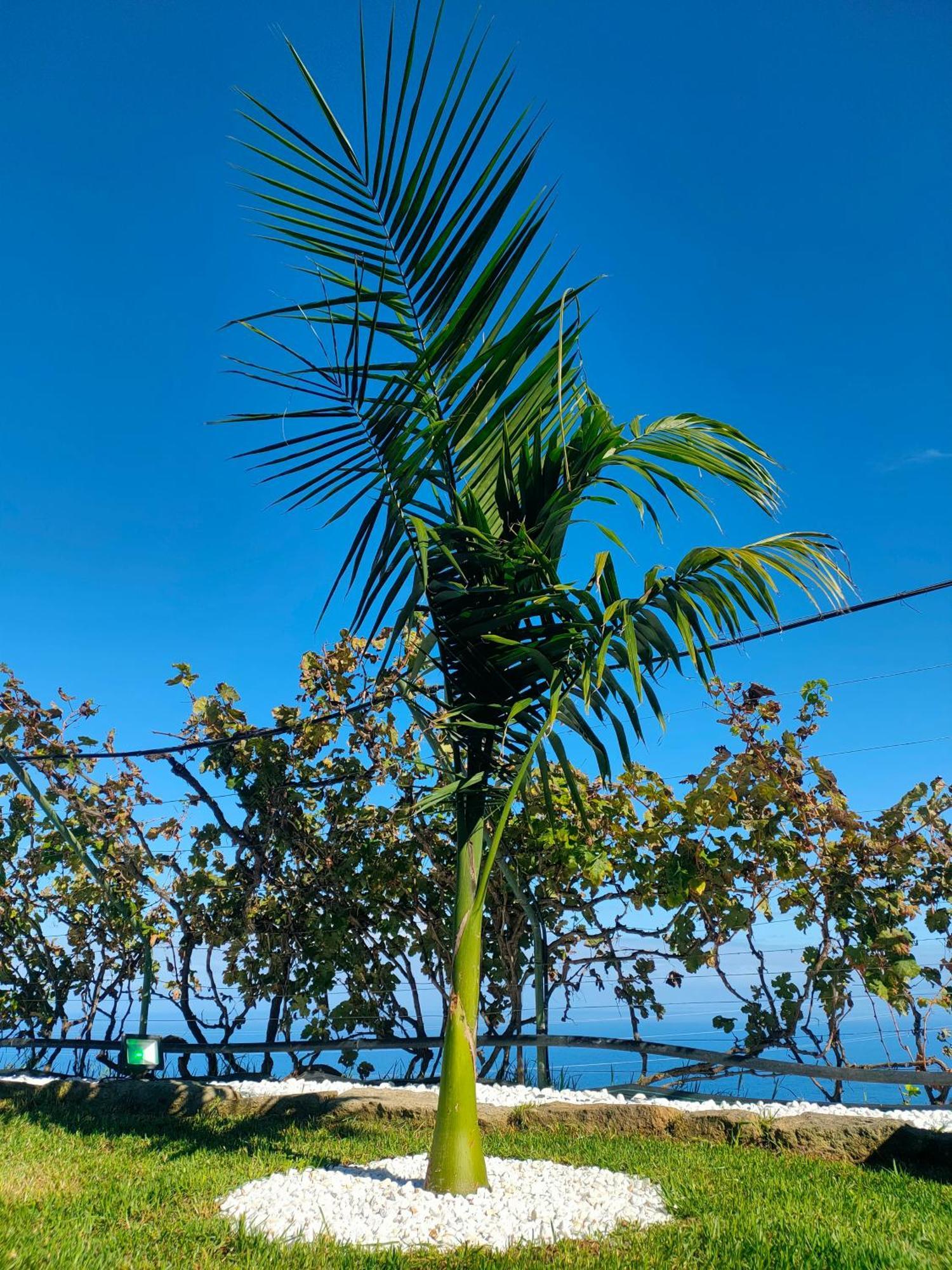 Casa Finca El Roque La Guancha Екстер'єр фото